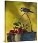 Chickadee Apples-Chris Vest-Stretched Canvas