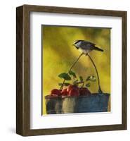 Chickadee Apples-Chris Vest-Framed Art Print