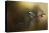 Chickadee in the Golden Light-Jai Johnson-Stretched Canvas