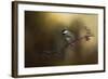 Chickadee in the Golden Light-Jai Johnson-Framed Giclee Print