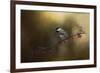 Chickadee in the Golden Light-Jai Johnson-Framed Giclee Print