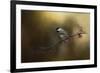 Chickadee in the Golden Light-Jai Johnson-Framed Giclee Print