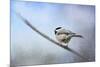 Chickadee in the Snow-Jai Johnson-Mounted Giclee Print