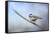 Chickadee in the Snow-Jai Johnson-Framed Stretched Canvas