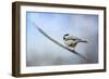 Chickadee in the Snow-Jai Johnson-Framed Giclee Print