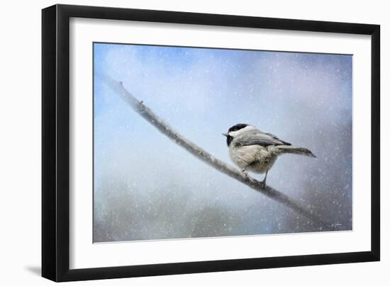 Chickadee in the Snow-Jai Johnson-Framed Giclee Print