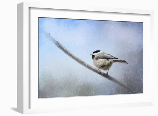 Chickadee in the Snow-Jai Johnson-Framed Giclee Print