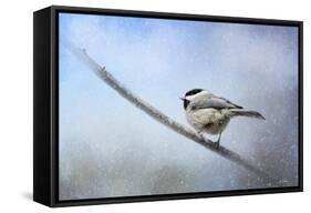 Chickadee in the Snow-Jai Johnson-Framed Stretched Canvas