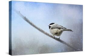 Chickadee in the Snow-Jai Johnson-Stretched Canvas