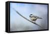 Chickadee in the Snow-Jai Johnson-Framed Stretched Canvas