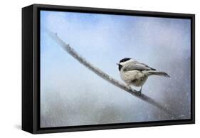 Chickadee in the Snow-Jai Johnson-Framed Stretched Canvas