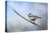 Chickadee in the Snow-Jai Johnson-Stretched Canvas