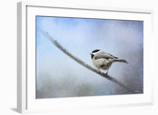 Chickadee in the Snow-Jai Johnson-Framed Giclee Print