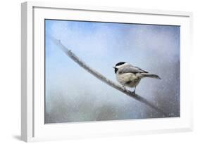 Chickadee in the Snow-Jai Johnson-Framed Giclee Print