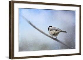 Chickadee in the Snow-Jai Johnson-Framed Giclee Print