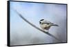 Chickadee in the Snow-Jai Johnson-Framed Stretched Canvas