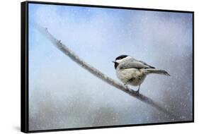 Chickadee in the Snow-Jai Johnson-Framed Stretched Canvas