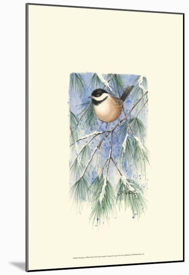 Chickadee in White Pine-Janet Mandel-Mounted Art Print