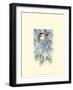 Chickadee in White Pine-Janet Mandel-Framed Art Print