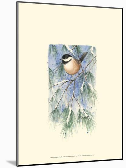 Chickadee in White Pine-Janet Mandel-Mounted Art Print