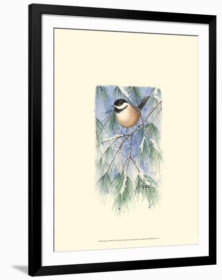 Chickadee in White Pine-Janet Mandel-Framed Art Print