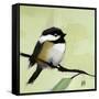 Chickadee No. 143-Angela Moulton-Framed Stretched Canvas