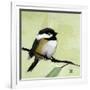 Chickadee No. 143-Angela Moulton-Framed Art Print