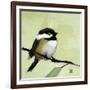 Chickadee No. 143-Angela Moulton-Framed Art Print