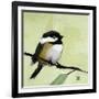 Chickadee No. 143-Angela Moulton-Framed Art Print