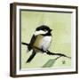 Chickadee No. 143-Angela Moulton-Framed Art Print