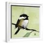 Chickadee No. 143-Angela Moulton-Framed Art Print