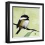 Chickadee No. 143-Angela Moulton-Framed Art Print