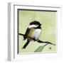 Chickadee No. 143-Angela Moulton-Framed Art Print