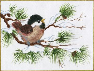 https://imgc.allpostersimages.com/img/posters/chickadee-on-a-pine-tree_u-L-Q1HTRN40.jpg?artPerspective=n
