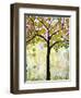 Chickadee Tree 1-Blenda Tyvoll-Framed Giclee Print