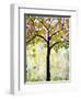 Chickadee Tree 1-Blenda Tyvoll-Framed Giclee Print