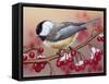 Chickadee with Berries-William Vanderdasson-Framed Stretched Canvas