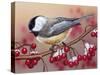 Chickadee with Berries-William Vanderdasson-Stretched Canvas