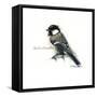 CHICKADEE-BRUCE DEAN-Framed Stretched Canvas