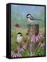 Chickadees and Coneflowers-Robert Wavra-Framed Stretched Canvas