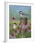 Chickadees and Coneflowers-Robert Wavra-Framed Giclee Print