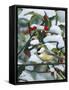 Chickadees and Holly Branch-William Vanderdasson-Framed Stretched Canvas