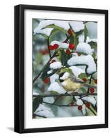 Chickadees and Holly Branch-William Vanderdasson-Framed Premium Giclee Print