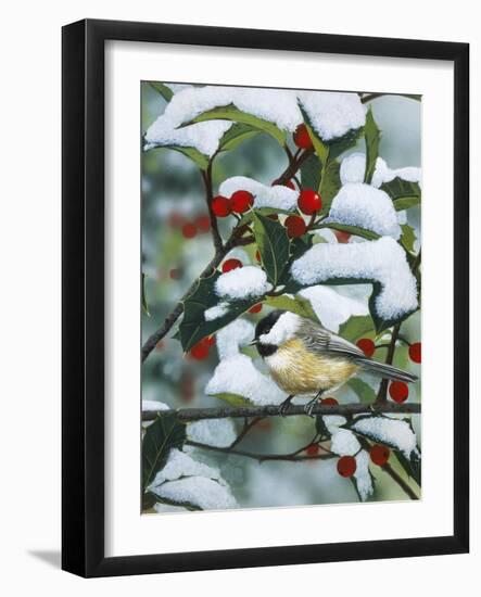 Chickadees and Holly Branch-William Vanderdasson-Framed Premium Giclee Print