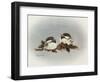 Chickadees and Holly-Peggy Harris-Framed Giclee Print