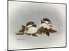 Chickadees and Holly-Peggy Harris-Mounted Giclee Print