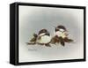 Chickadees and Holly-Peggy Harris-Framed Stretched Canvas
