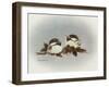 Chickadees and Holly-Peggy Harris-Framed Giclee Print