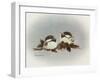 Chickadees and Holly-Peggy Harris-Framed Giclee Print