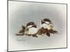 Chickadees and Holly-Peggy Harris-Mounted Giclee Print